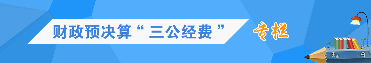财政预决算“三公经费”